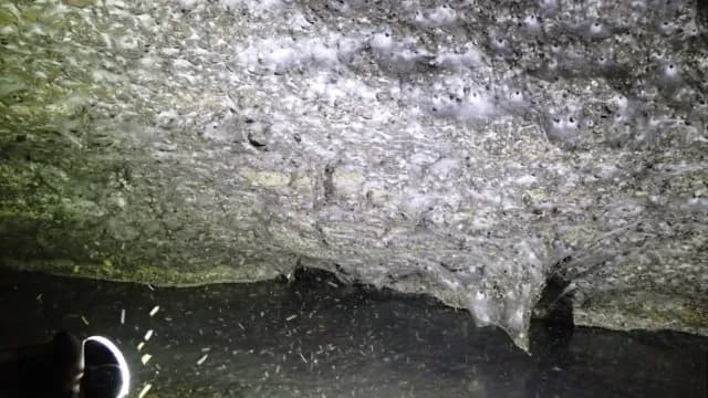 La telaraña más grande del mundo