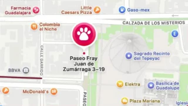 Perros Peregrinos Módulo 2025
