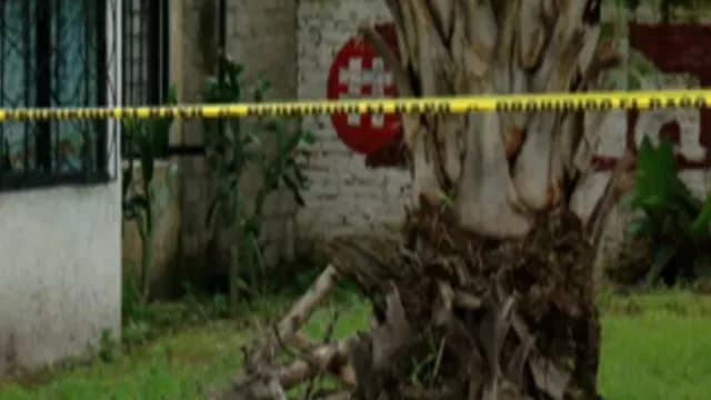 Jardinero encontró una pistola tipo "pluma"