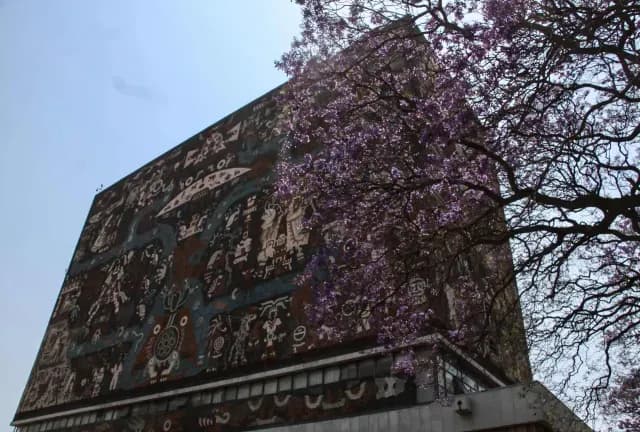 UNAM presenta plan de austeridad