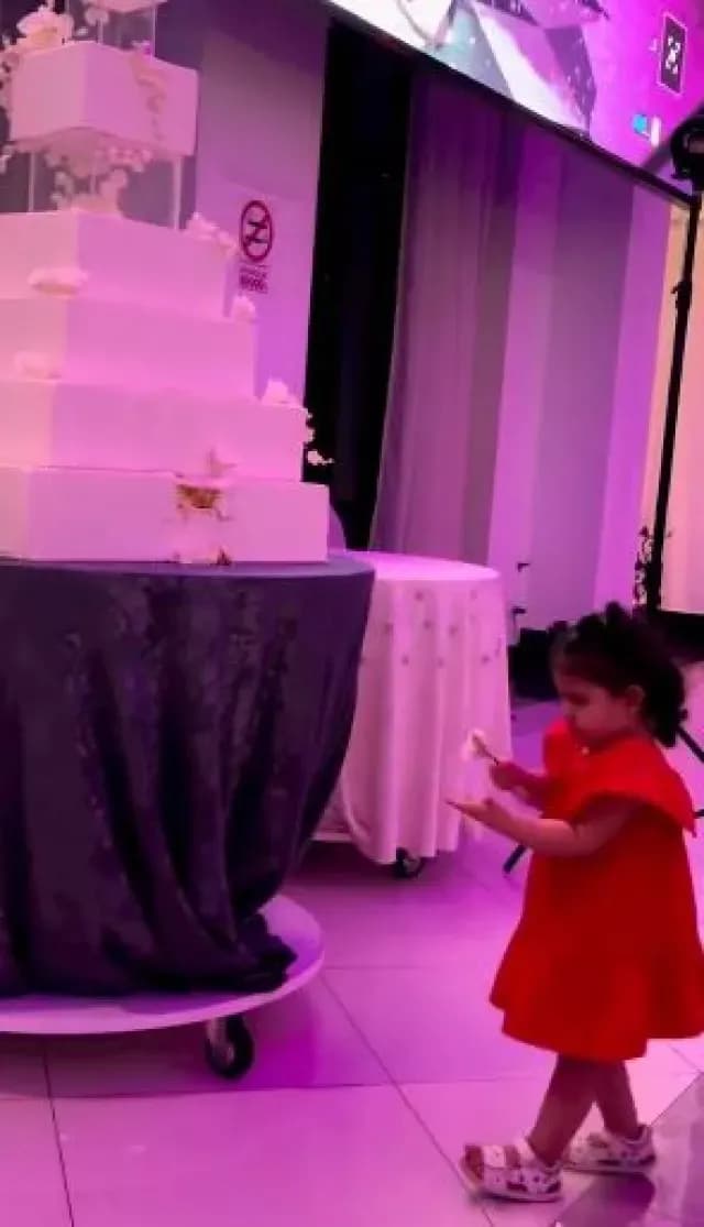 Video: Niña Arruina Pastel de Boda