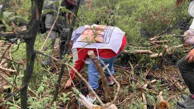 Búsqueda de Pamela Gallardo en el Ajusco