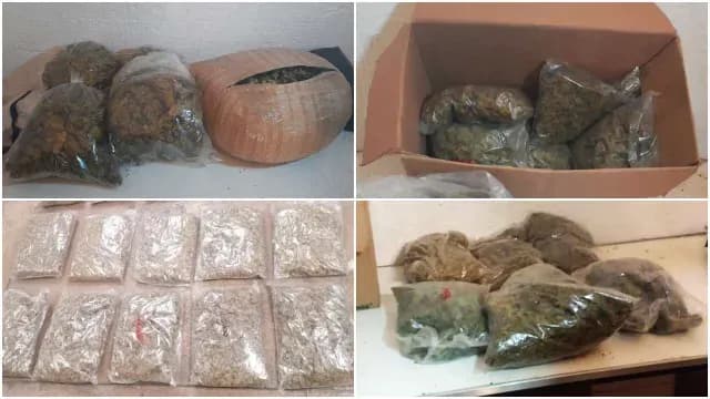 Decomisan droga tras cateos en CDMX y Edomex