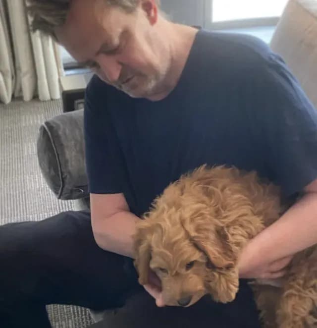 Alfred, perro de Matthew Perry