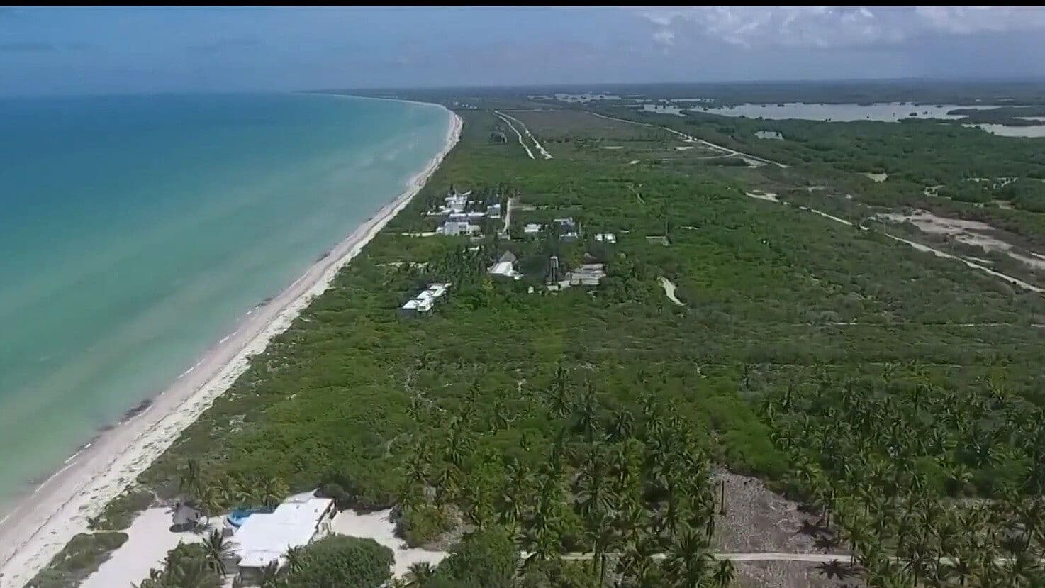 Yucatán Protege su Biodiversidad con 674 mil Hectáreas de Áreas Naturales