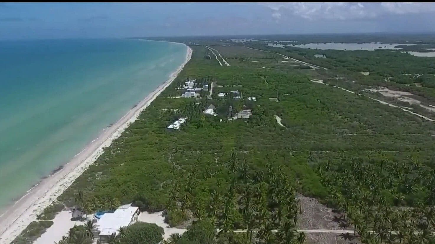 Yucatán Protege su Biodiversidad con 674 mil Hectáreas de Áreas Naturales