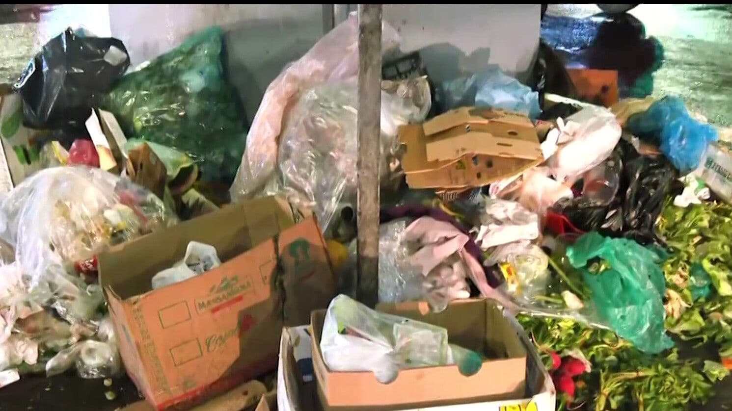 Basura en el Transporte Público Agrava Inundaciones y Contaminación en CDMX