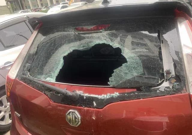 Ventanilla de coche rota por un gato