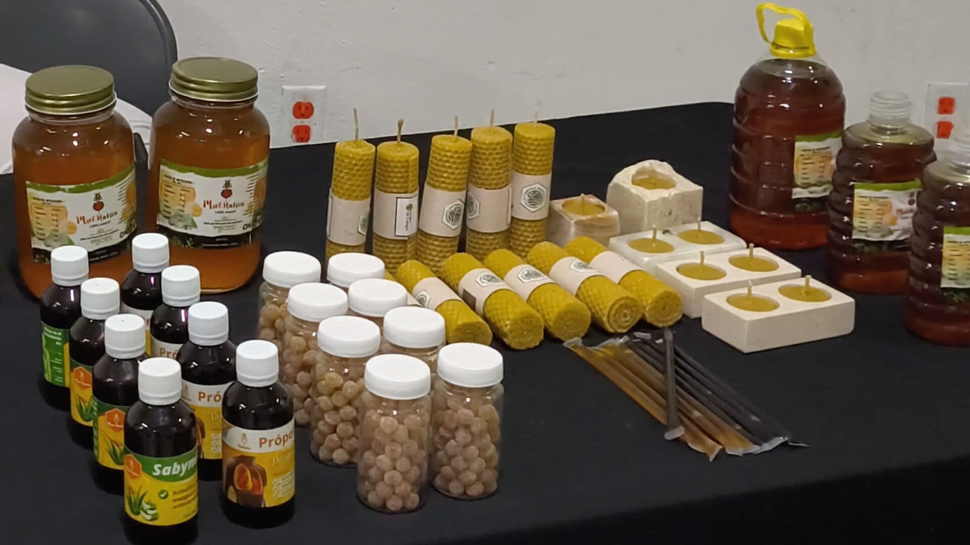 Apicultor Veracruzano Menciona la Importancia de Diversificar Productos Hechos con Miel de Abeja