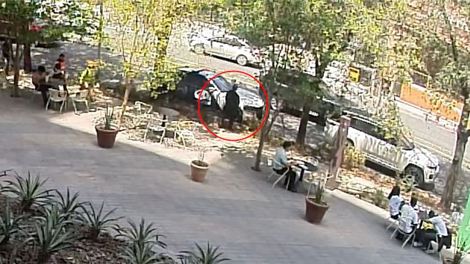 Revelan Video de Ejecución de Hombre en Zona Arboleda en San Pedro, Nuevo León