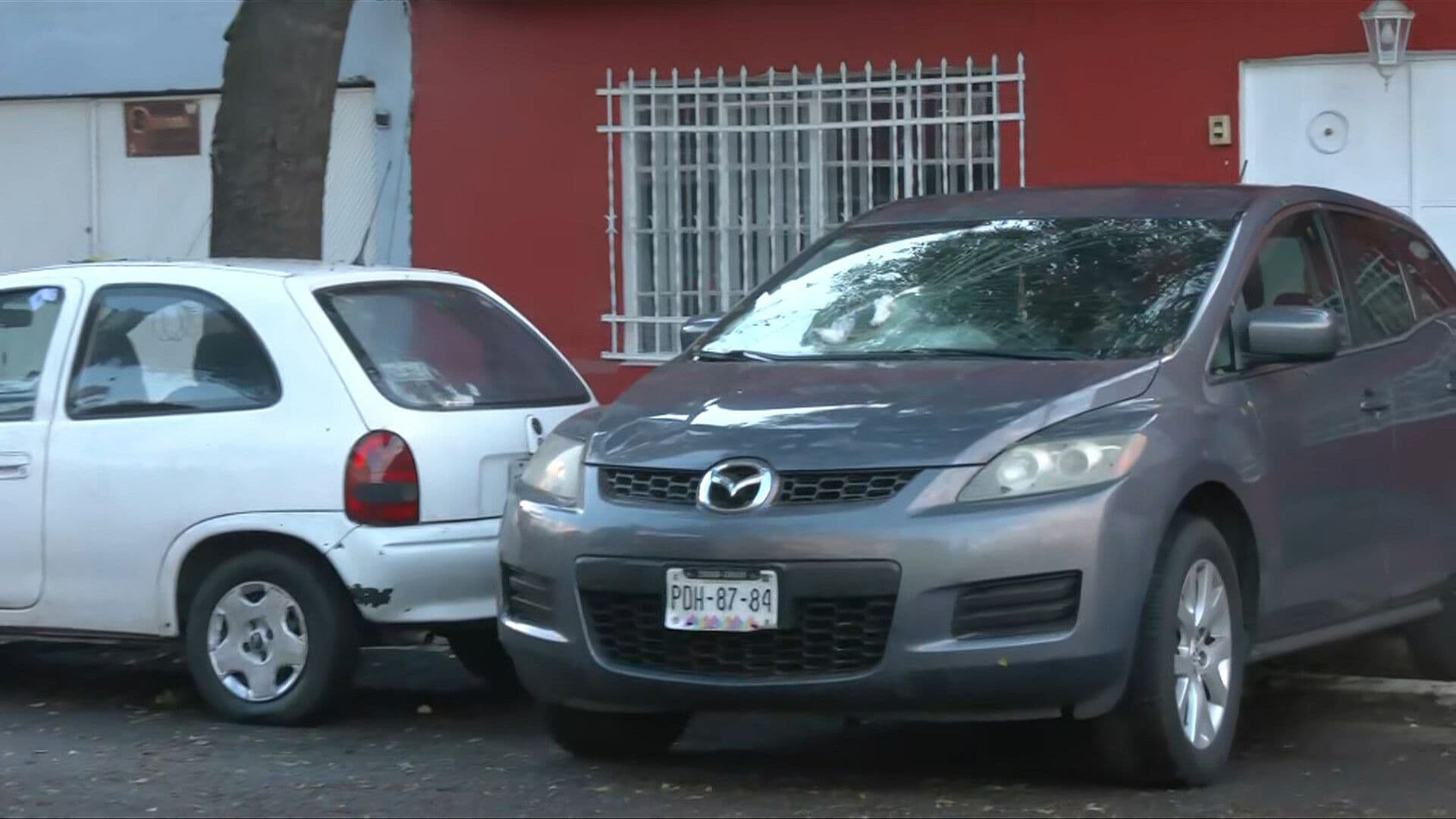 Rama de Auto Cae sobre Auto en Iztapalapa, CDMX