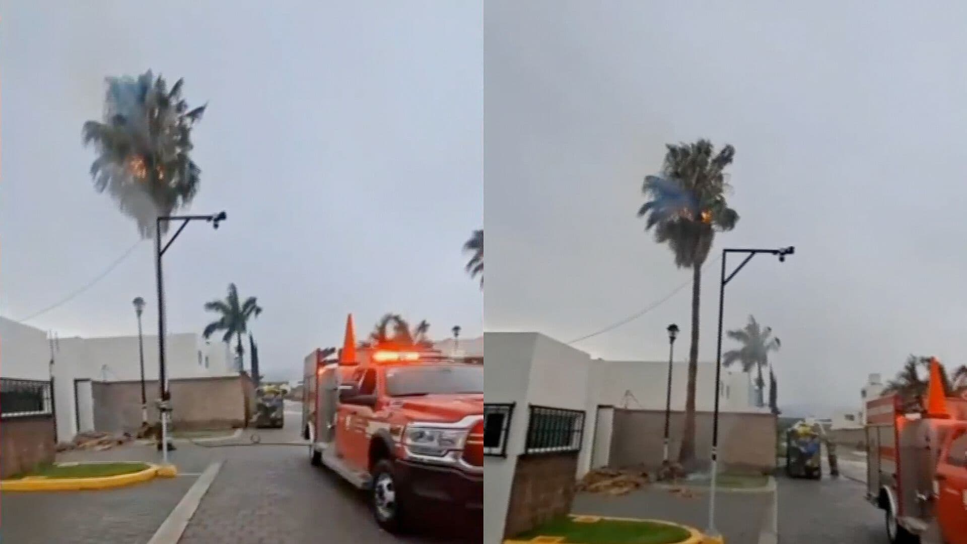 Caída de Rayo Incendia Palmera en un Fraccionamiento de Tehuacán, Puebla