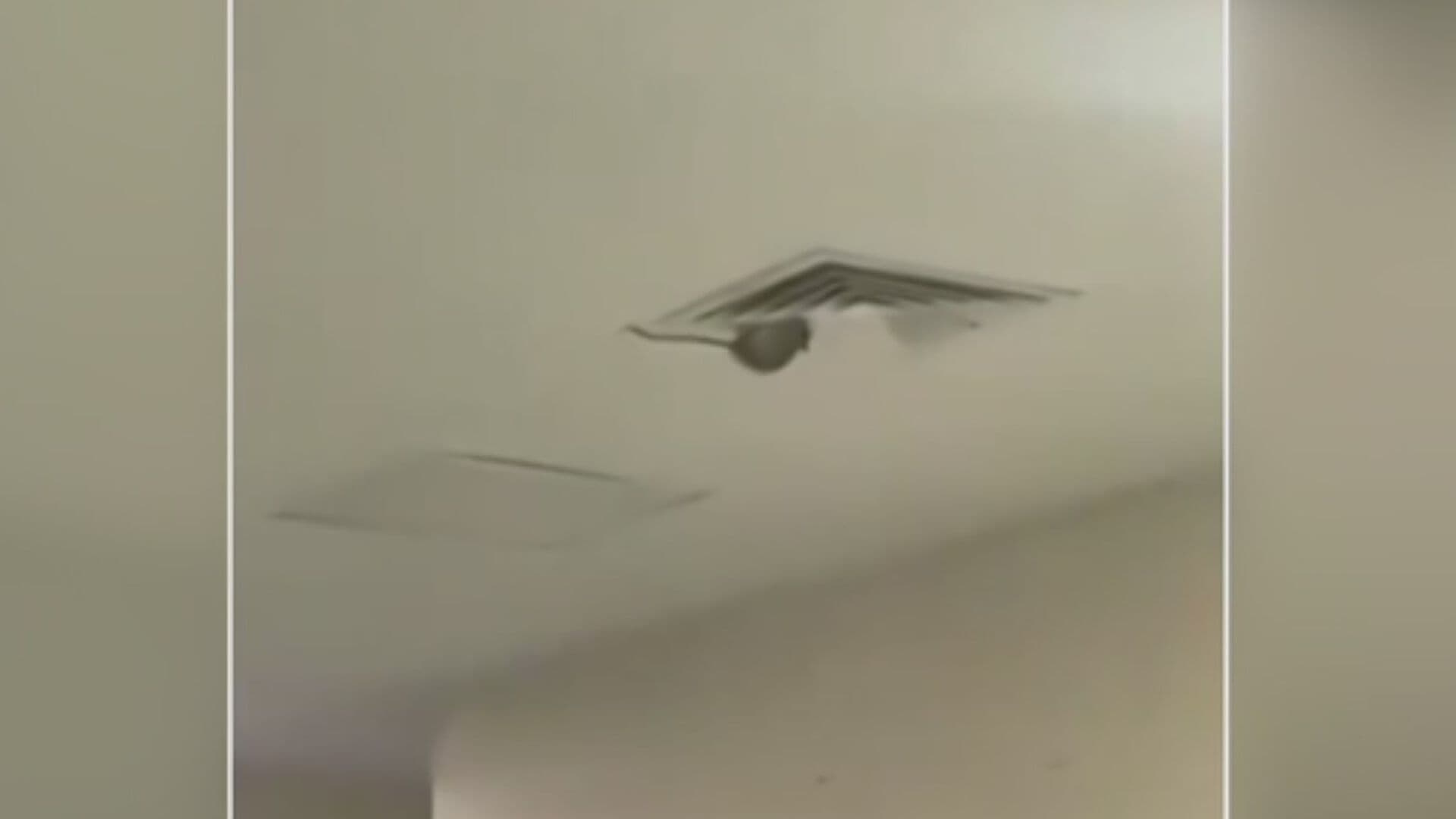 VIDEO: Rata en Hospital del IMSS Cae de Ducto de Ventilación