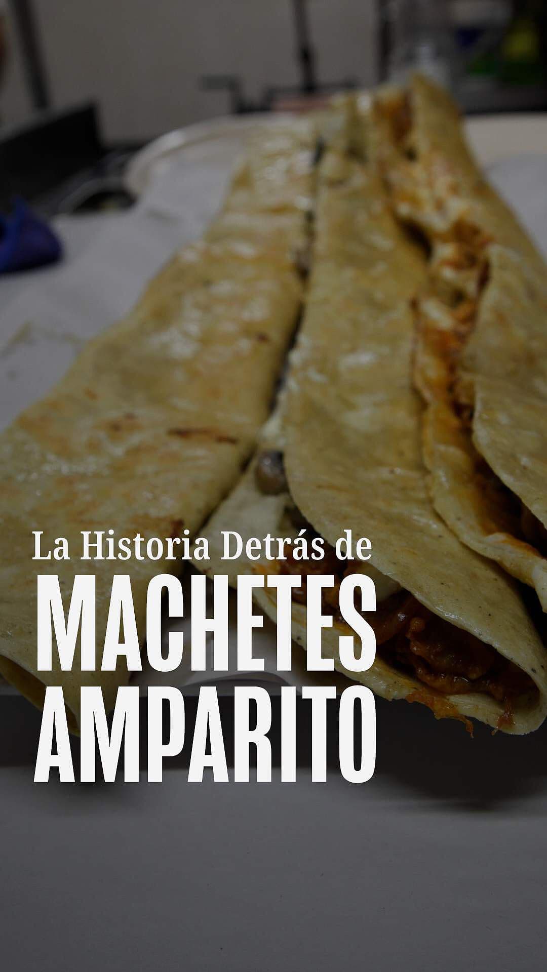 Machetes Amparito: las Quesadillas más Famosas de la Guerrero
