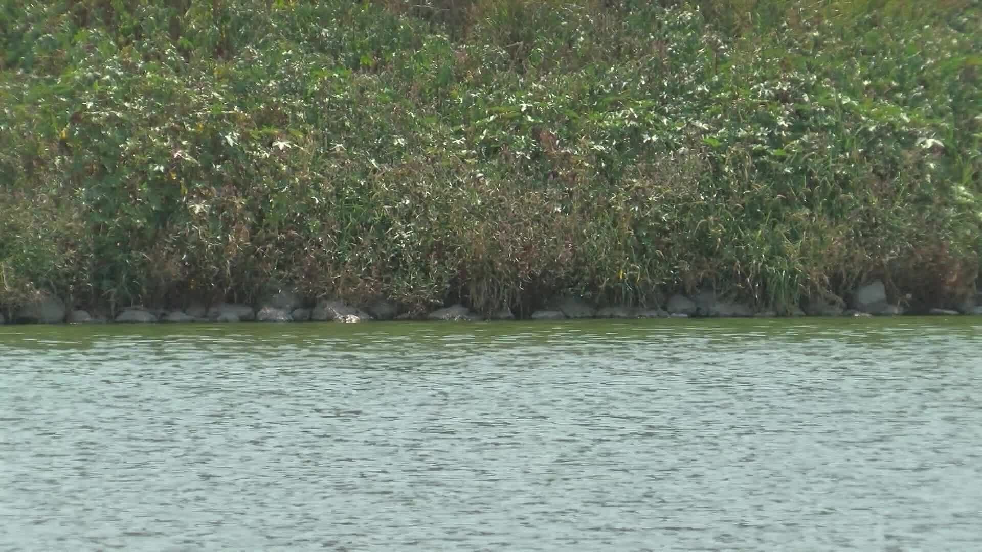 Presas de Querétaro Registran Mayor Almacenamiento Previo a Temporada de Lluvias