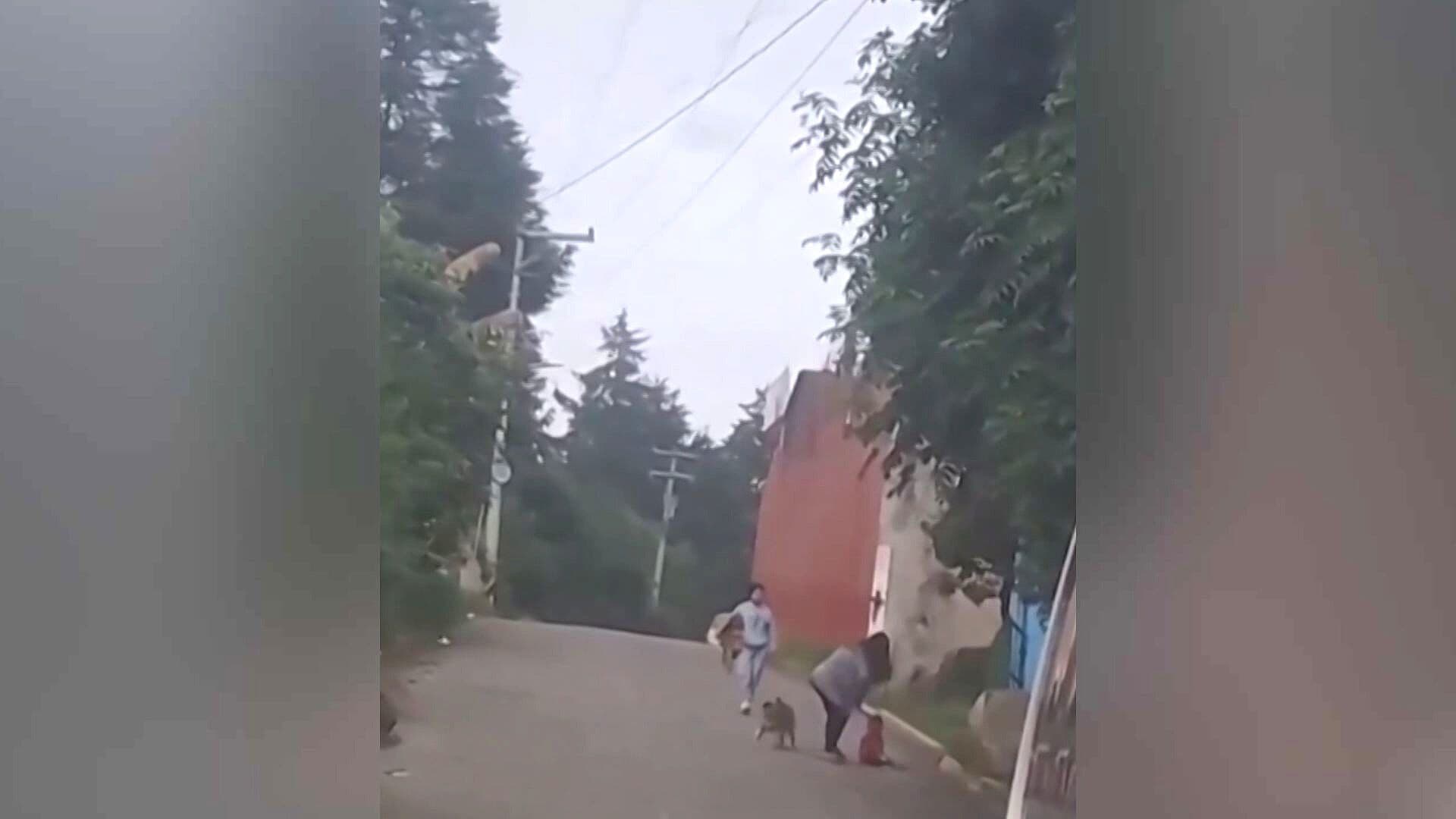 VIDEO: Automovilista Graba a Bebé Gateando Solo en Calle de Puebla