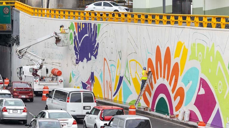 Revelan Costo Millonario por 'Ajolotizar' CDMX