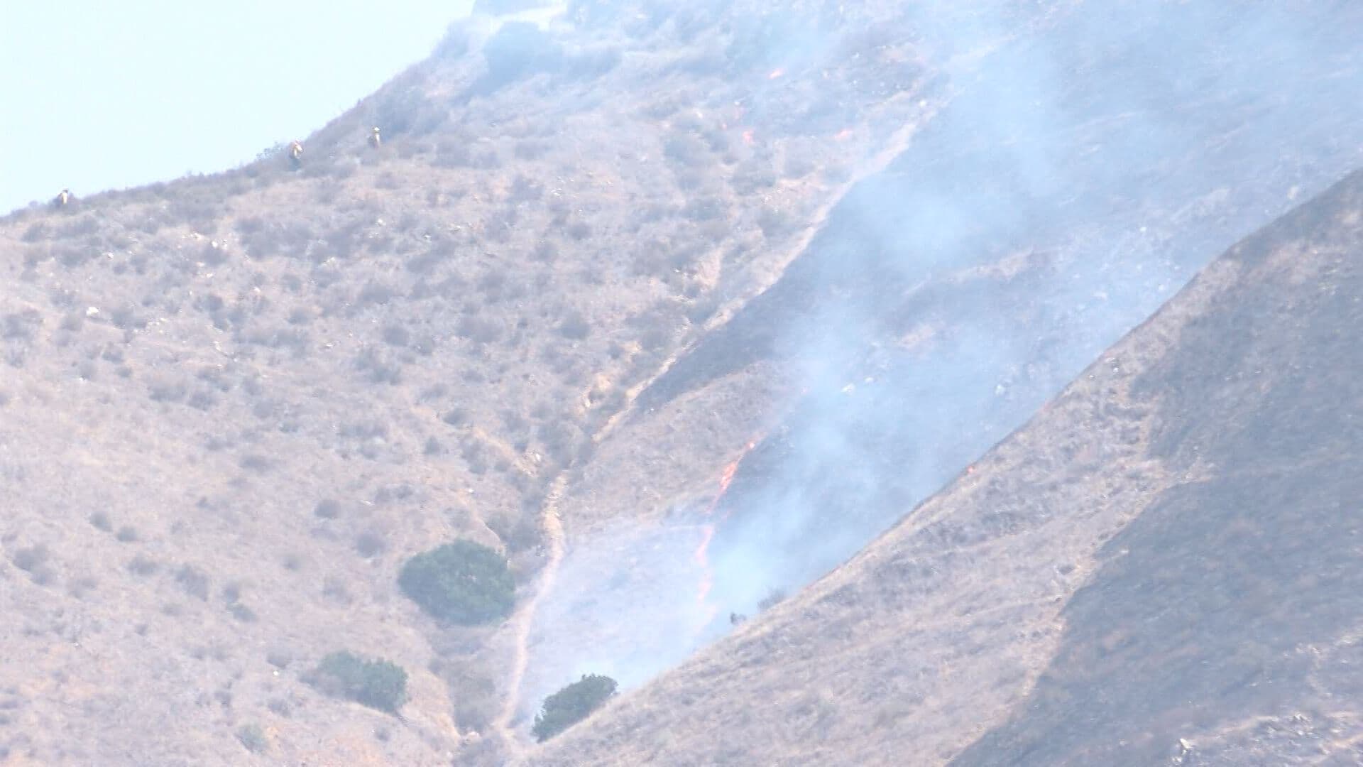 Contienen Incendio Forestal entre Tijuana y Tecate tras Avance Hacia EUA