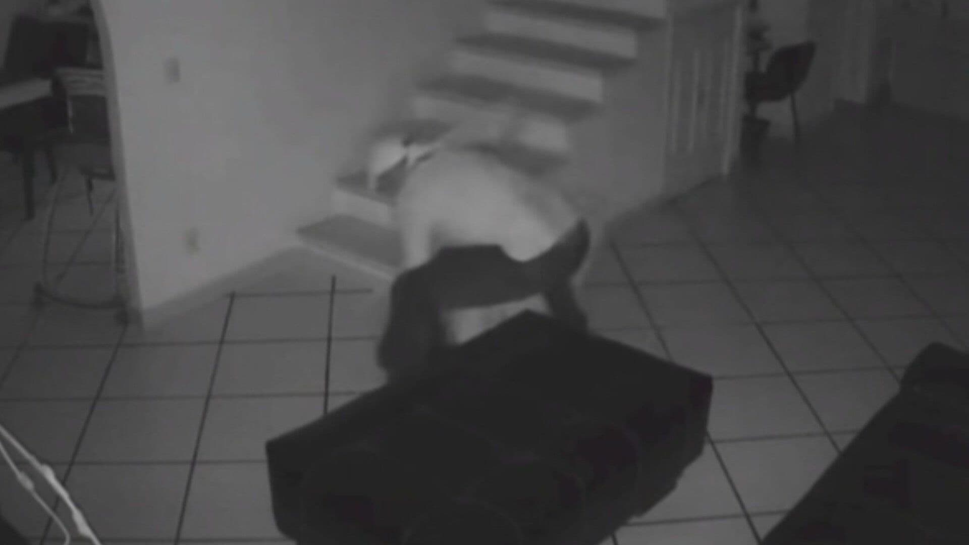 VIDEO: Sujeto Da Fuerte Golpiza a su Expareja en Cuernavaca, Morelos