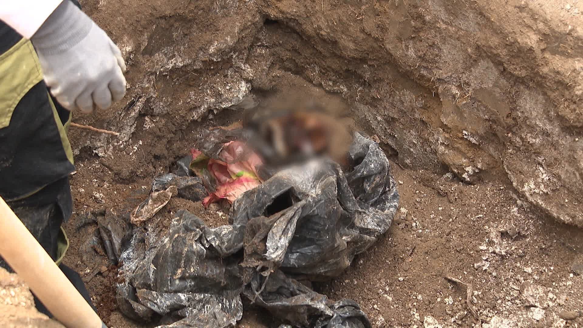 Localizan Cuerpo Enterrado en el Patio de una Vivienda en Valle de Los Olivos