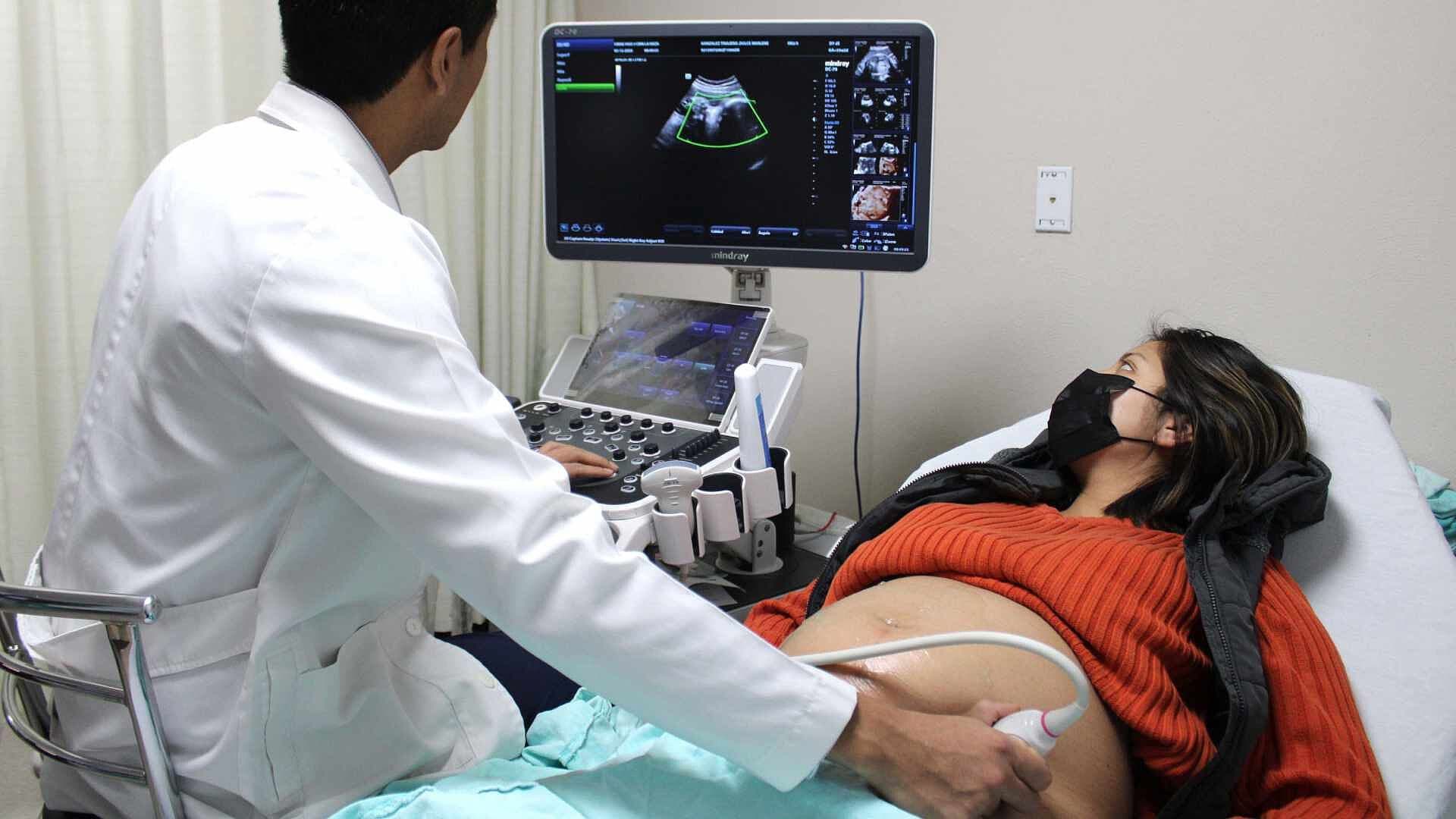 Día Mundial de la Fertilidad: ¿Qué es y Qué Factores la Afectan?