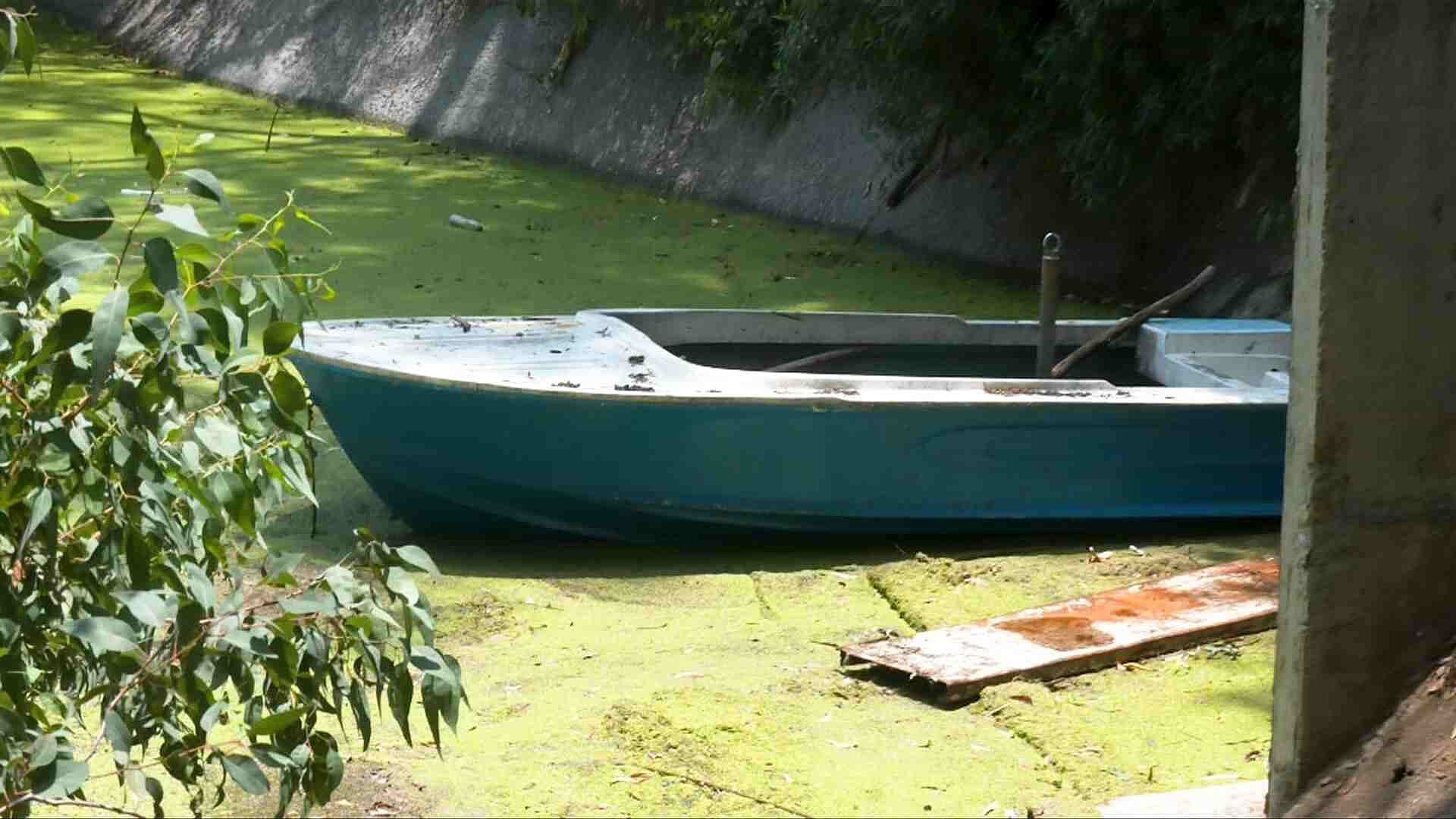 "Ya Ni si Quiera se Ve el Agua": Denuncian Abandono del Lago del Parque Ecológico Huayamilpas