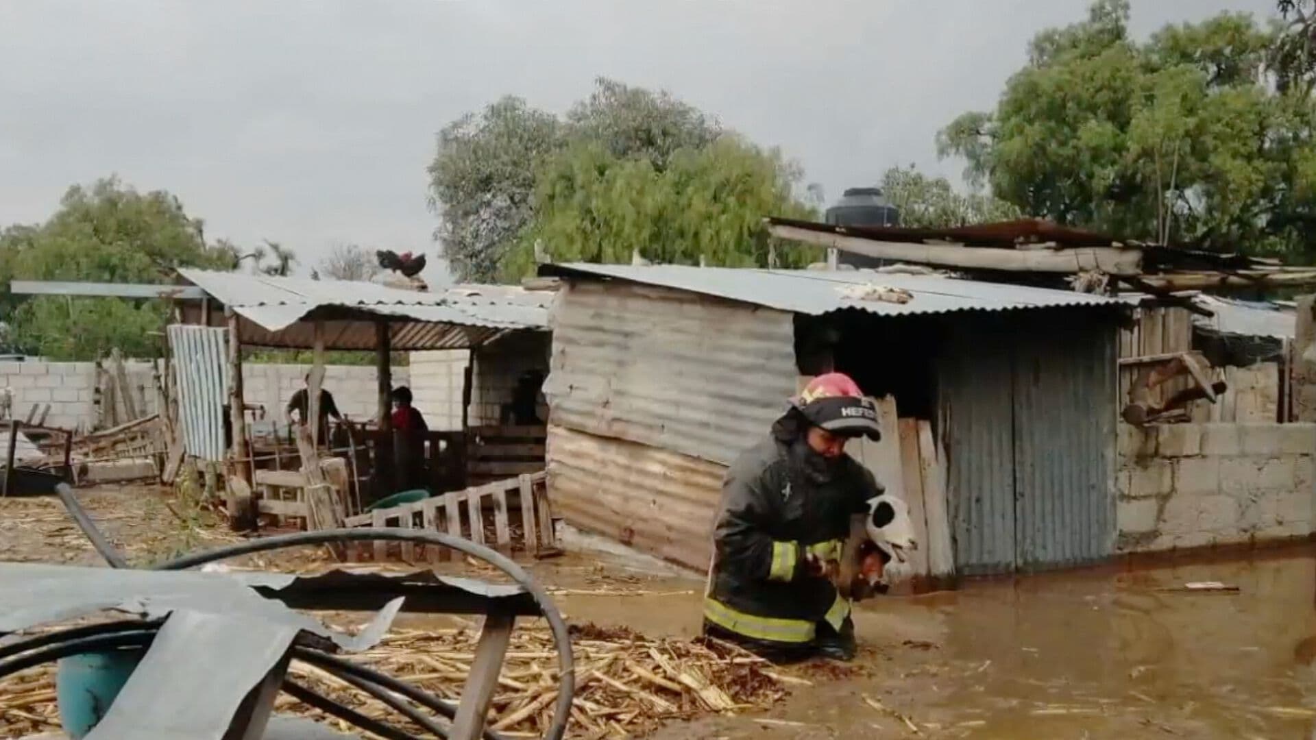 Lluvia Desbordó Barranca y Provocó Inundaciones en Calles de Dos Municipios en Puebla