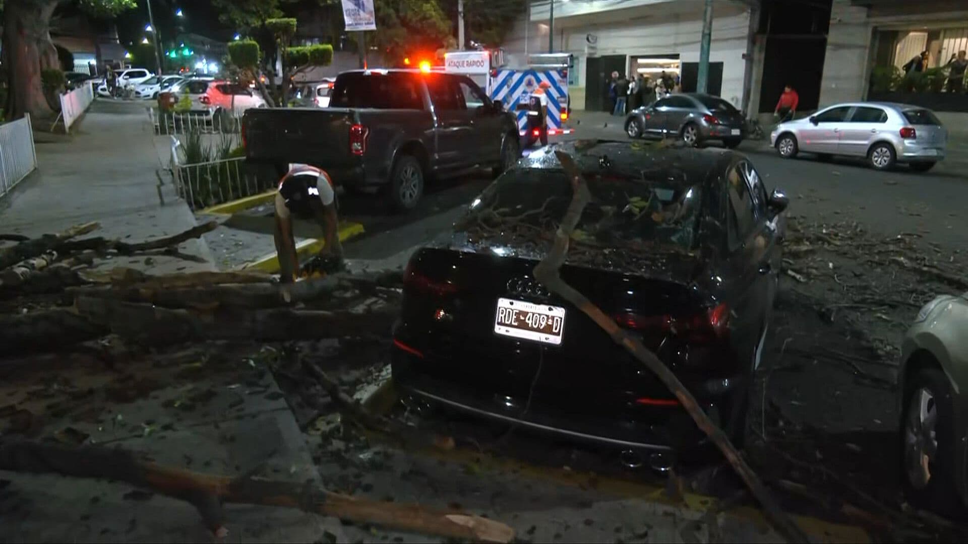Cae Árbol Sobre Automóvil y Deja Dos Lesionados en la Colonia Doctores