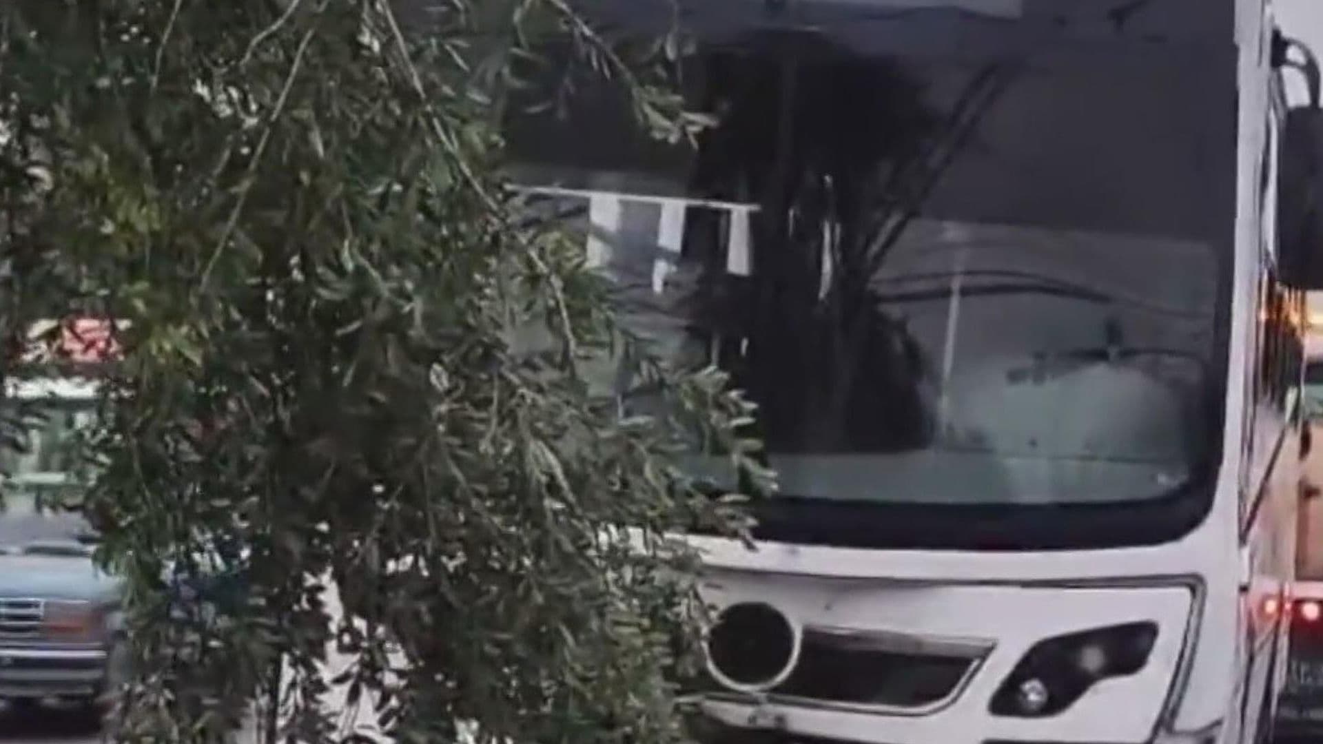 Choca Transporte de Personal con Árbol, No Hay Heridos en Av. Israel Cavazos y Pablo Livas