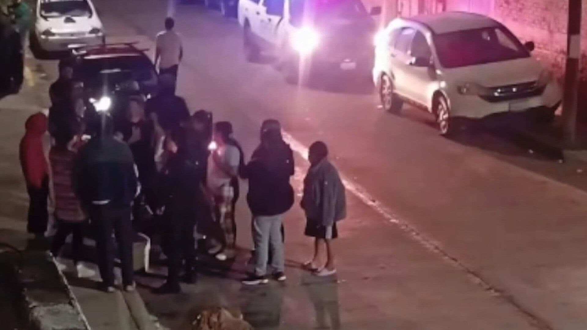 Captan Momento en que Mujer Envenena y Mata a Siete Perros en Celaya Guanajuato