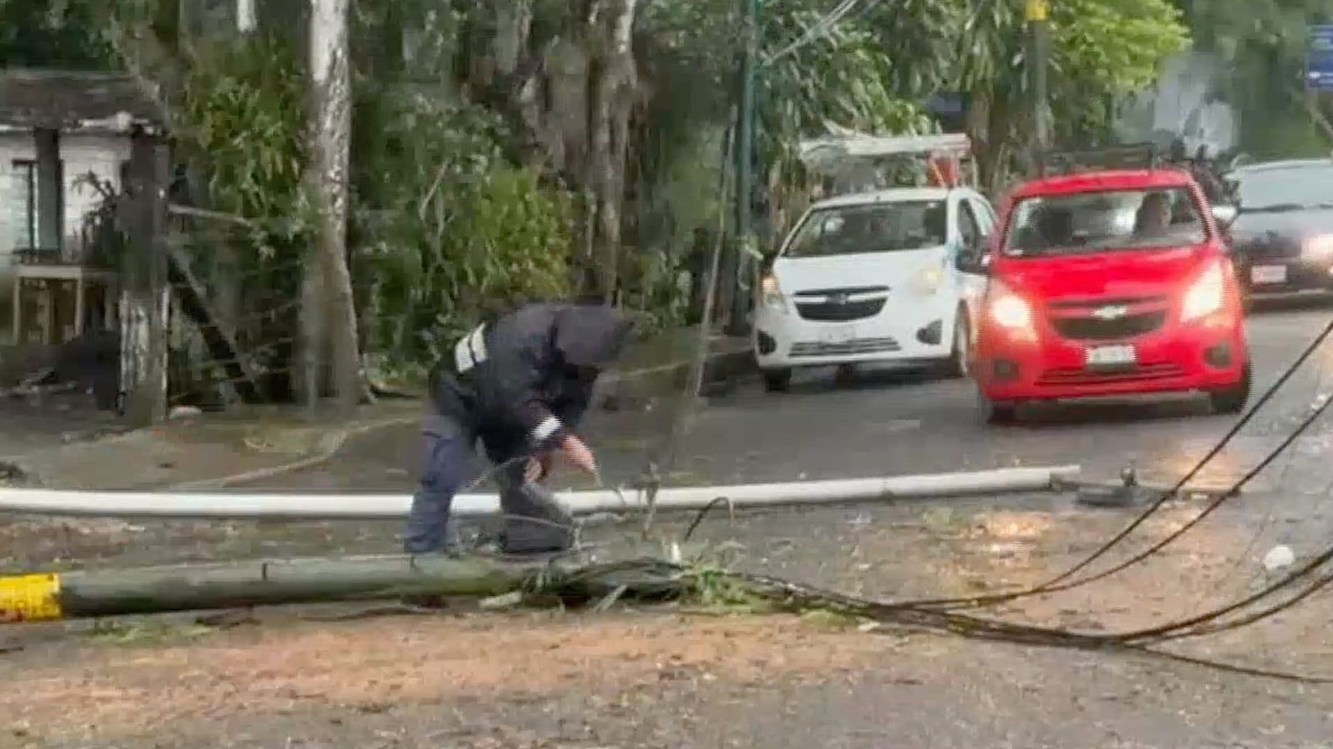 Lluvias Dejan Arboles Caídos e Inundaciones en las Altas Montañas de Veracruz