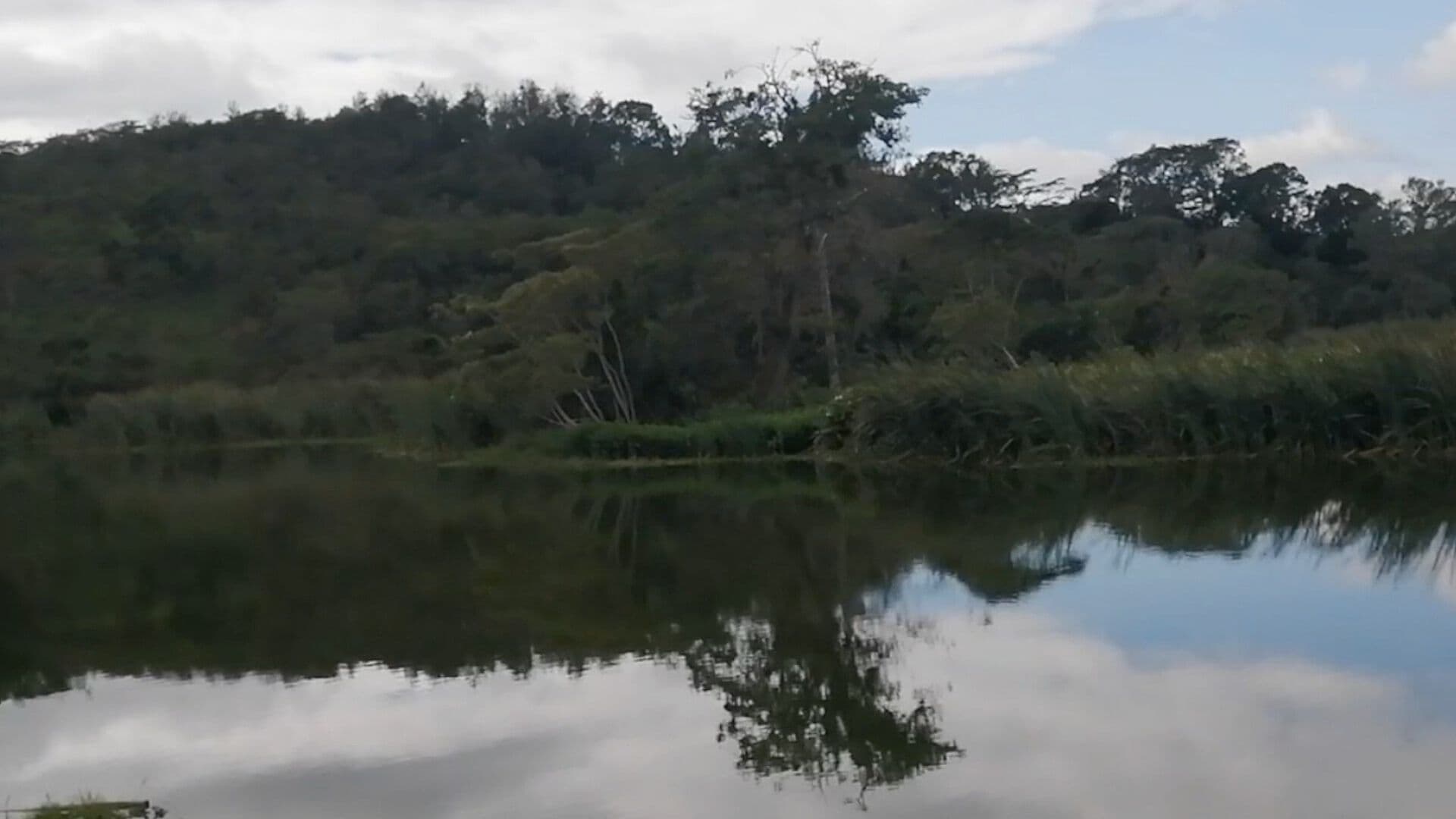 Anuncian Suspensión Temporal de Fuentes de Abastecimiento de Agua en Xalapa