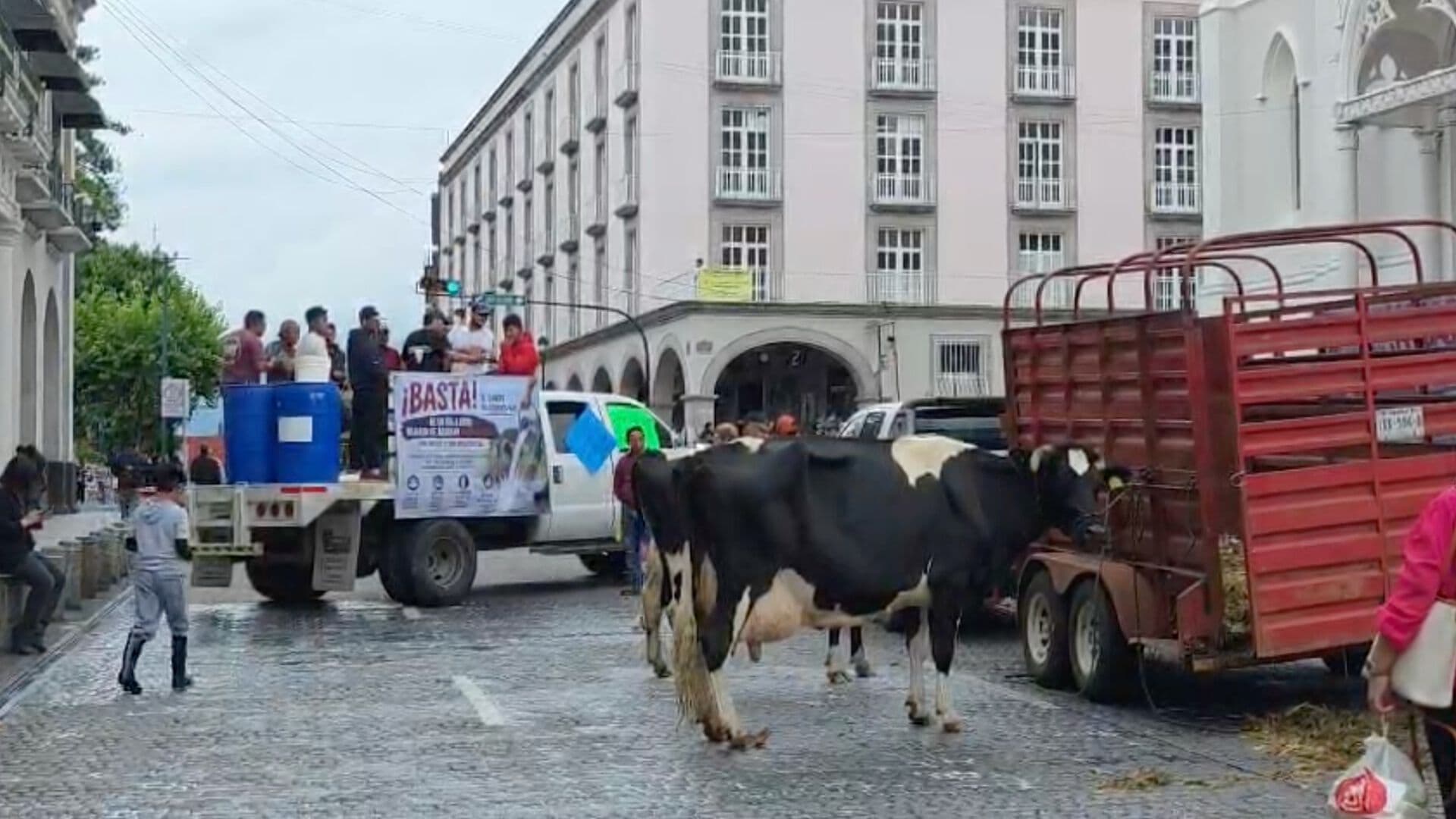 Productores de Leche en Veracruz se Manifiestan en Palacio de Gobierno en Xalapa