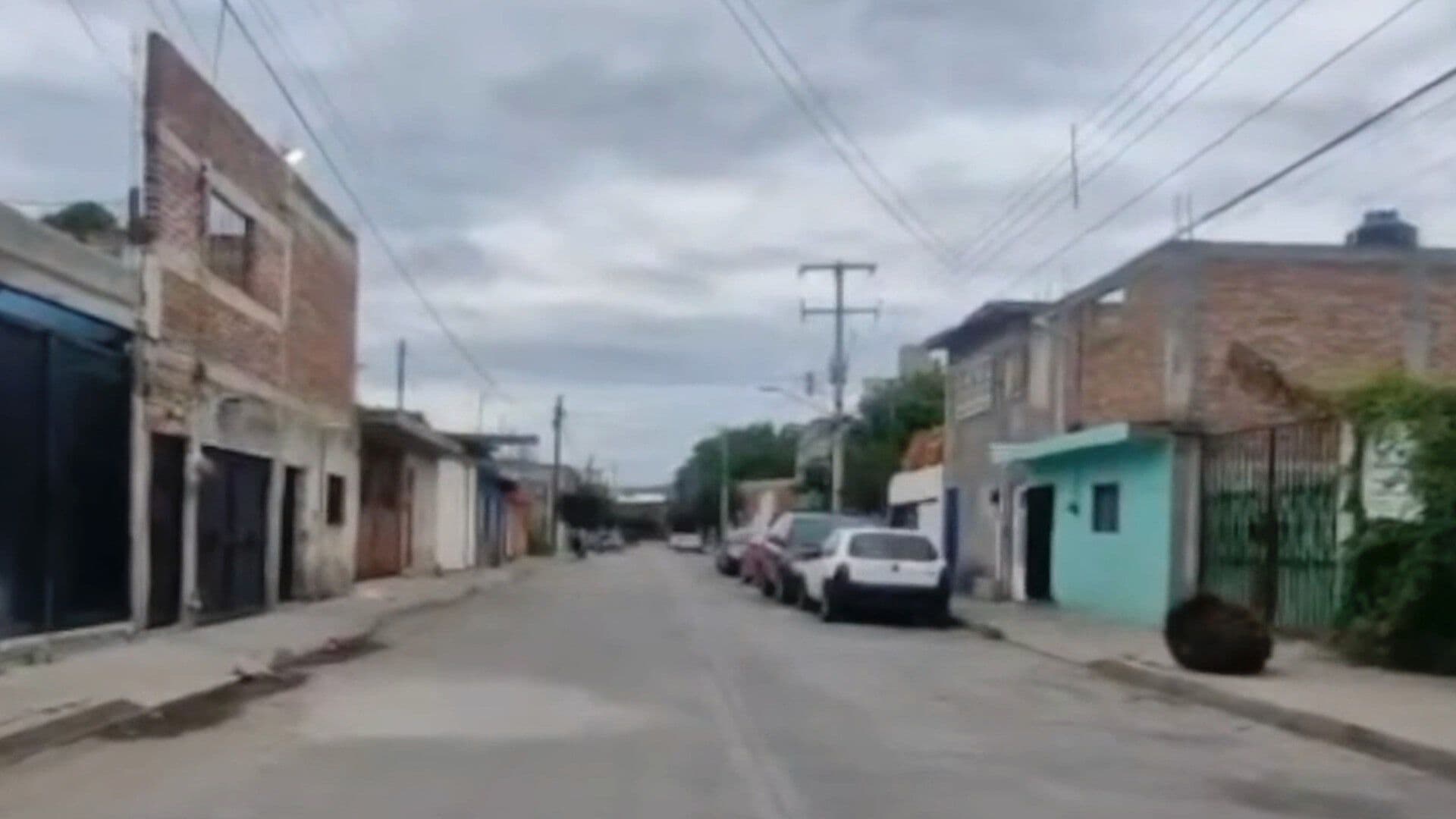 Autoridades de la Fiscalía y de Celaya, Ya Investigan el Envenenamiento y Muerte de Seis Perros