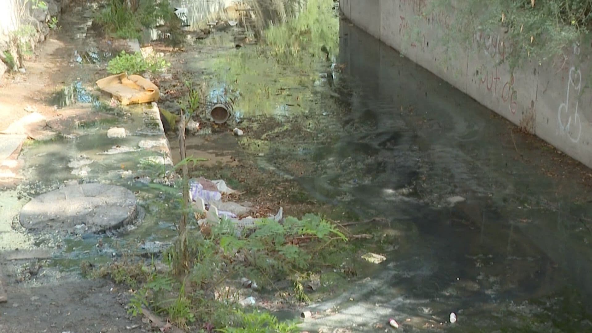 Denuncian Fugas de Aguas Negras en Colonia Y Griega de Hermosillo