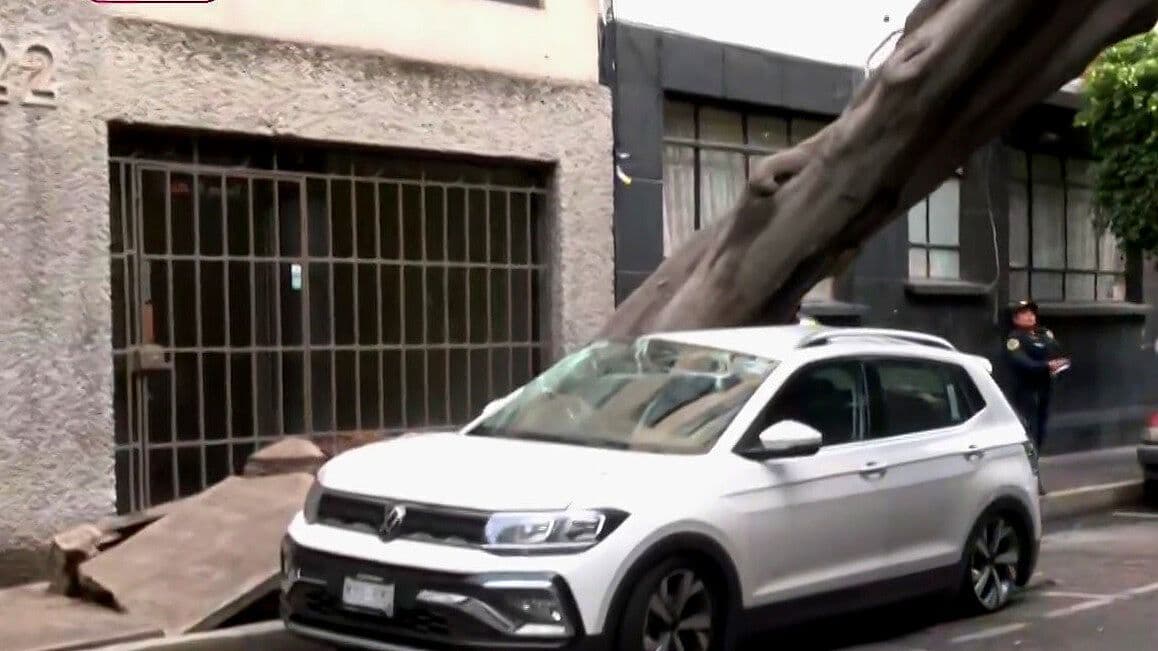 Cae Enorme Árbol sobre Auto y Casa en Colonia Anzurez, CDMX