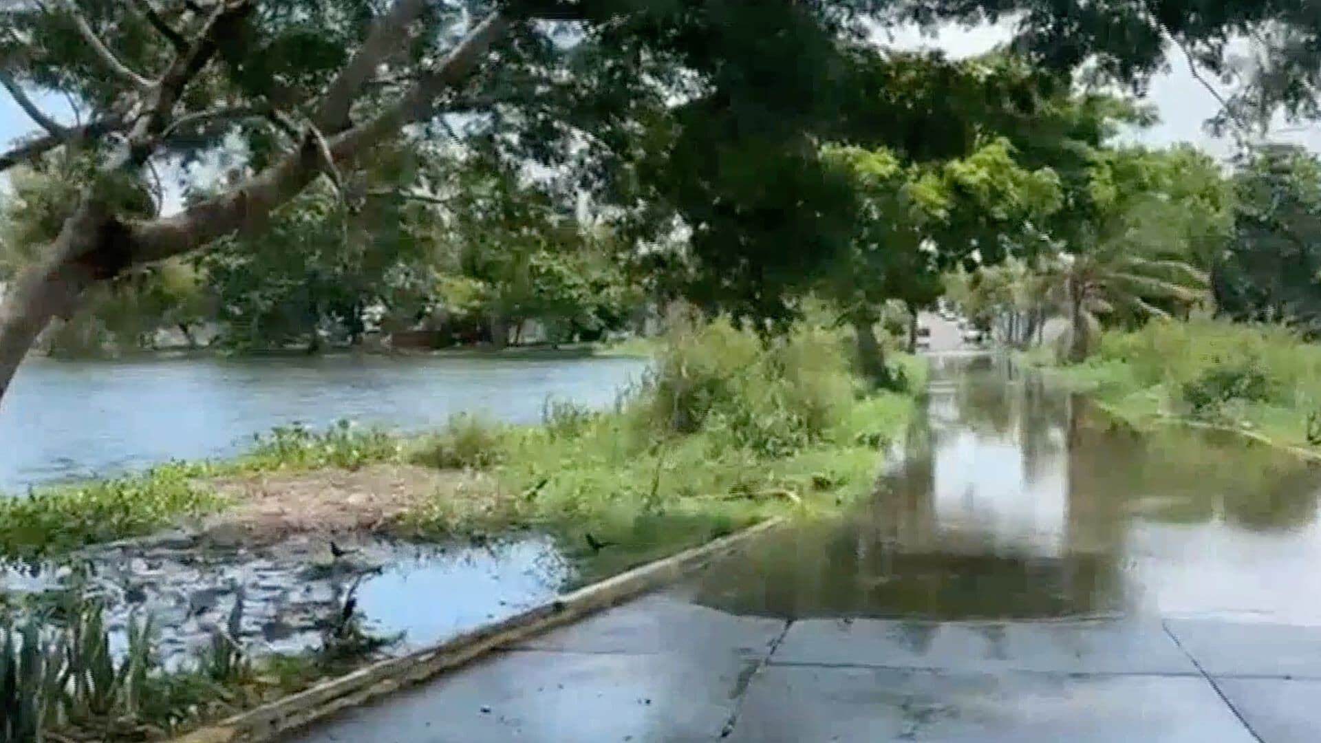 Se Desborda Laguna Ilusión y Ensueño por Fuertes Lluvias en Veracruz