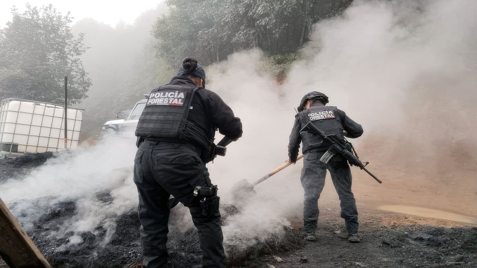 Inhabilitados Tres Hornos Clandestinos Madera Zautla Puebla Medio Ambiente