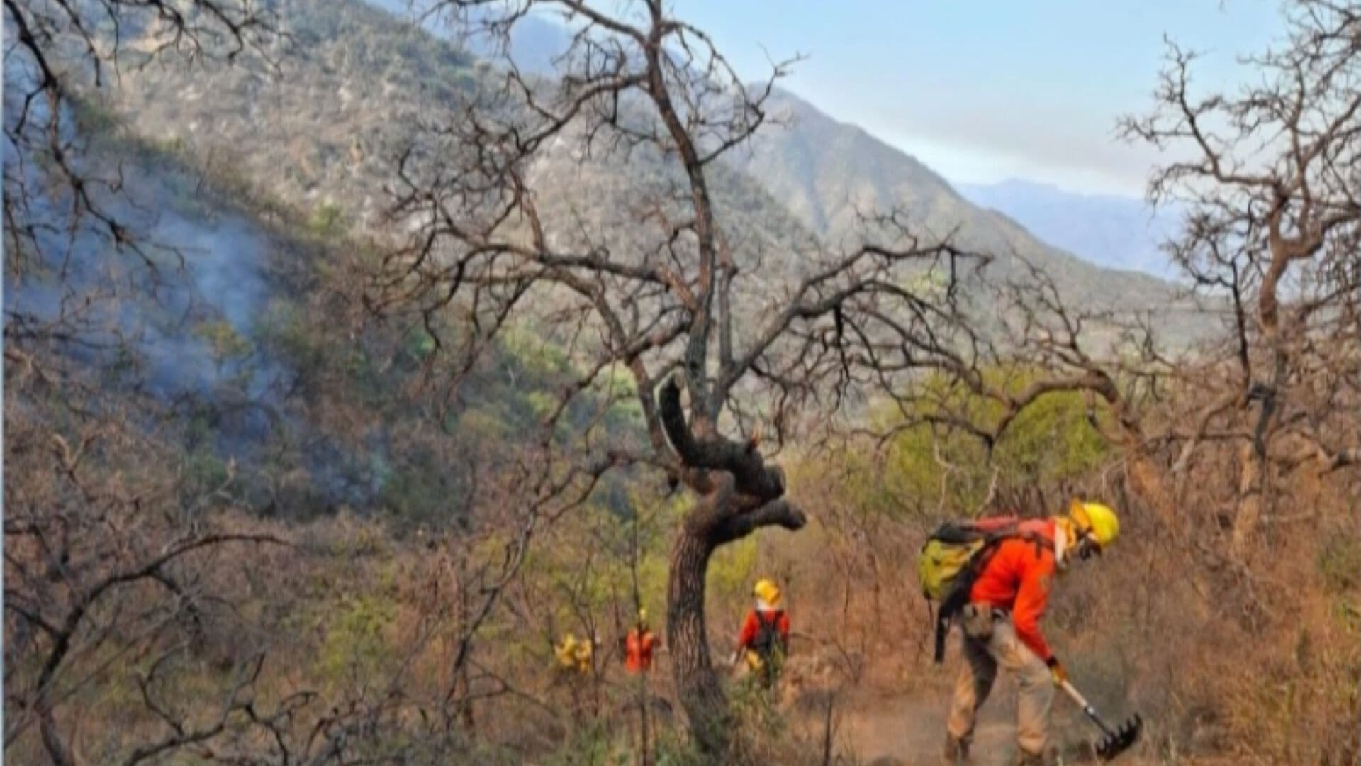 Incendio en Sierra Alta de Sonora Quedó Liquidado por Completo