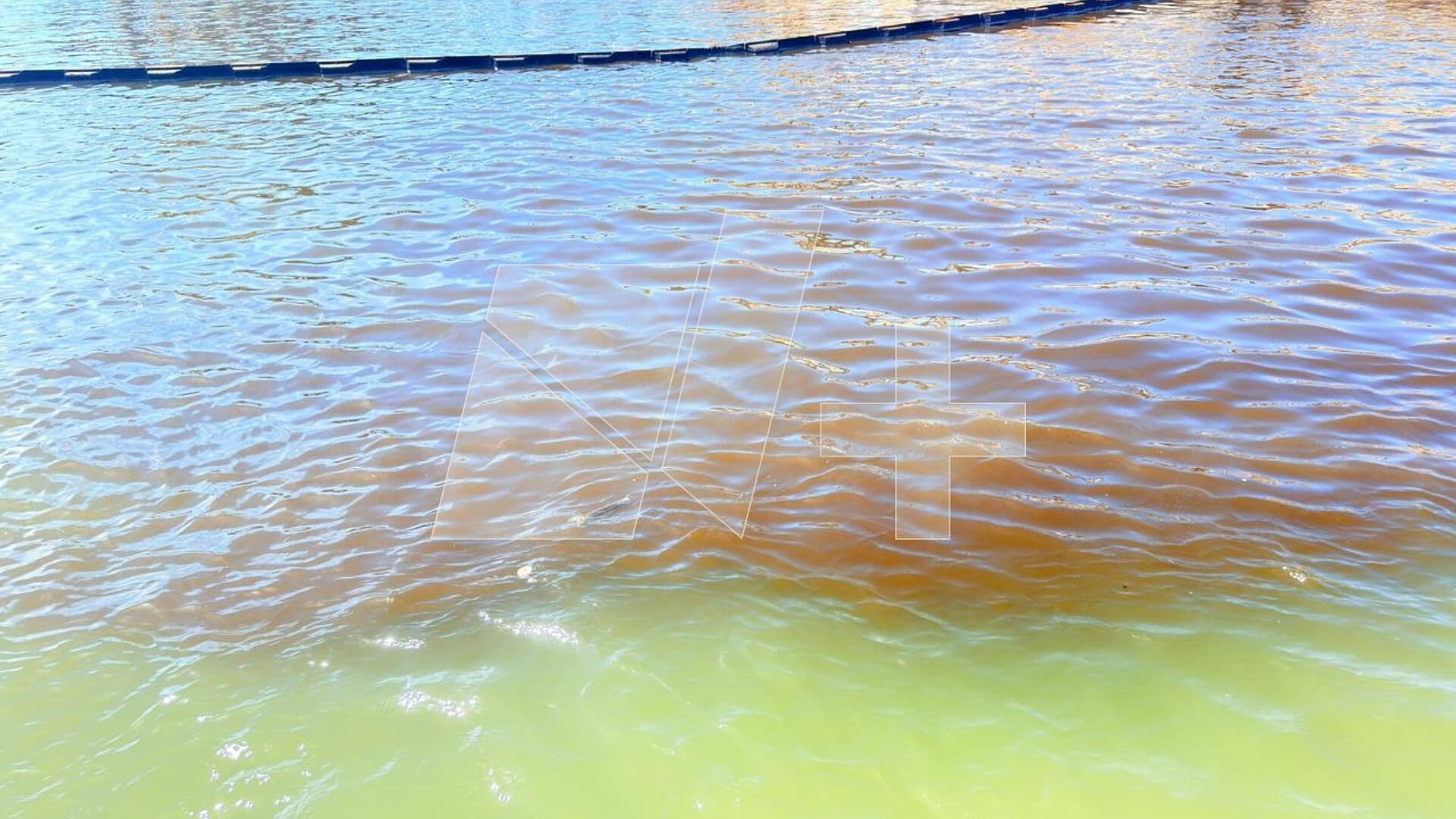 Pescadores Detectan Presunta Mancha de Hidrocarburo en Río Pánuco
