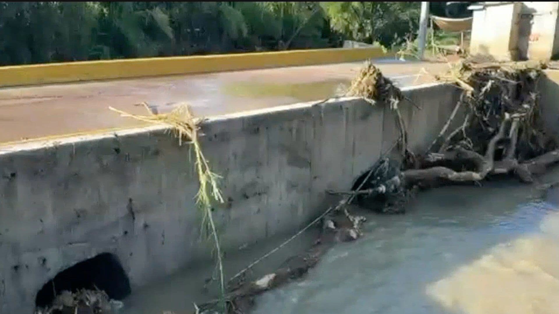 Taponamientos Habrían Causado Desbordamiento del Río San Andrés en Veracruz; Hay Casas Afectadas