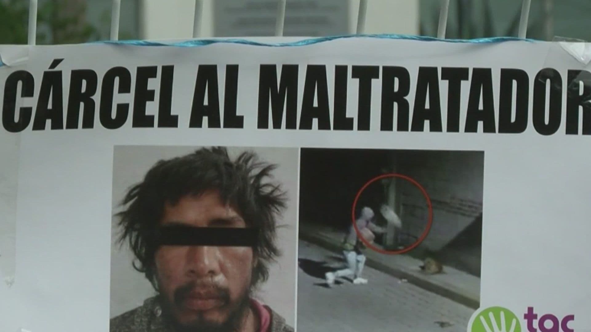 Justicia para el Perrito Huesos: Sujeto Pasará Más de 11 Años en Prisión por Maltrato Animal