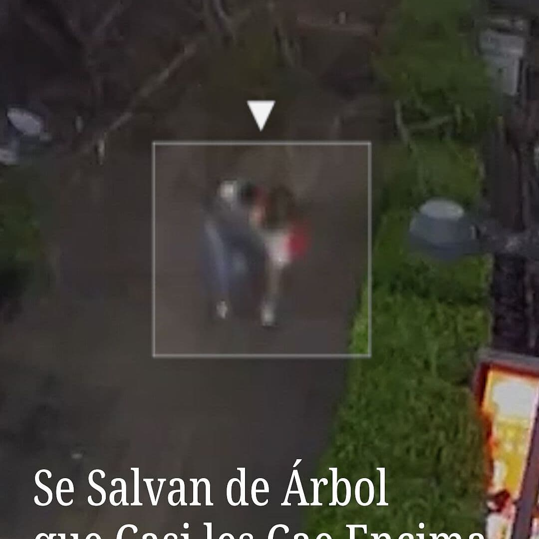 Se Salvan de Árbol que Casi les Cae Encima