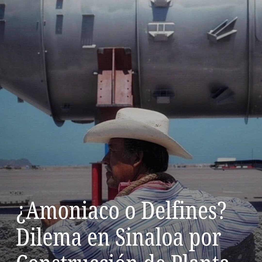 ¿Amoniaco o Delfines? Dilema en Topolobampo