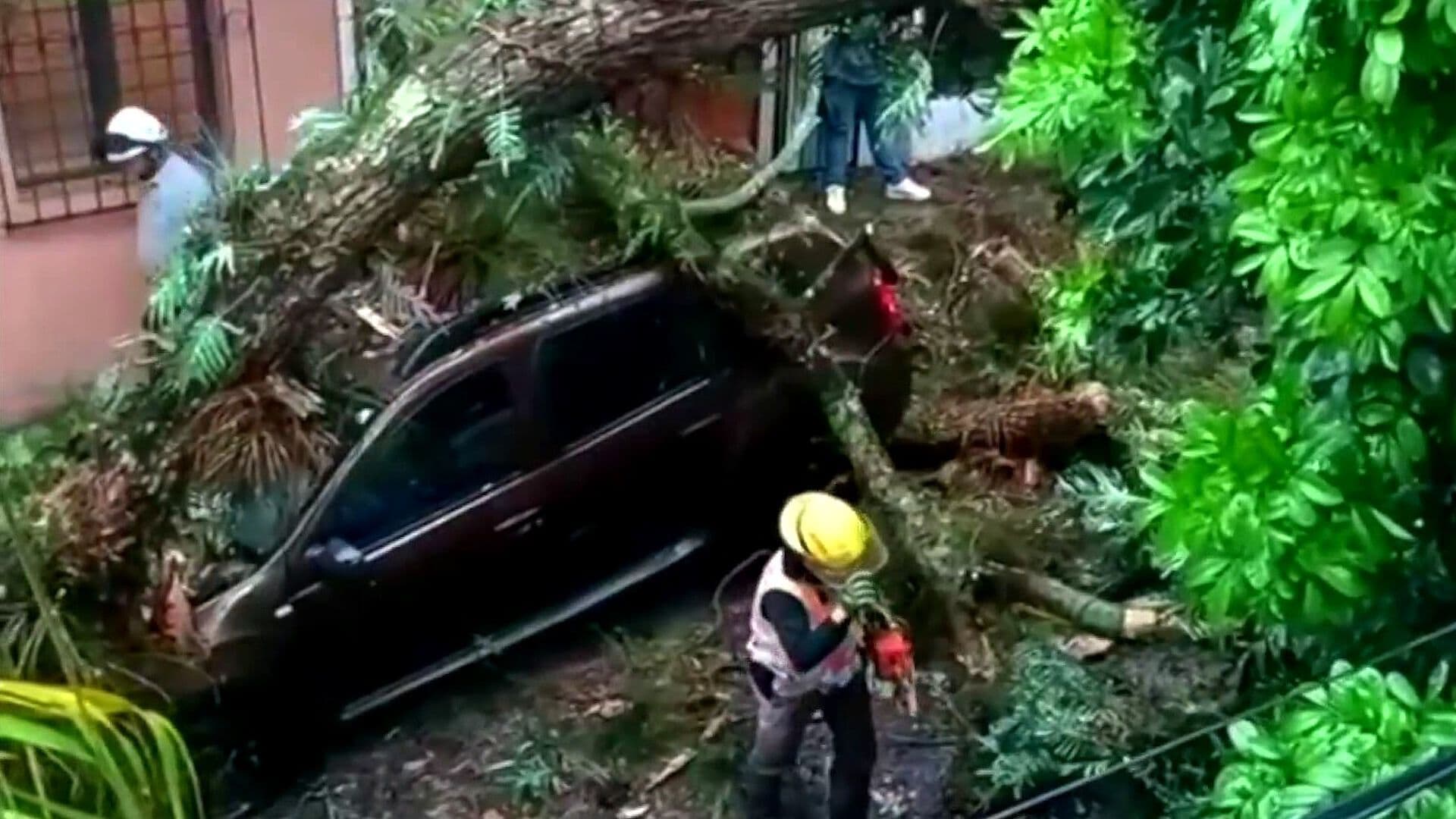 Veracruz Activó Aviso Especial por Lluvias Intensas y Riesgo de Deslaves