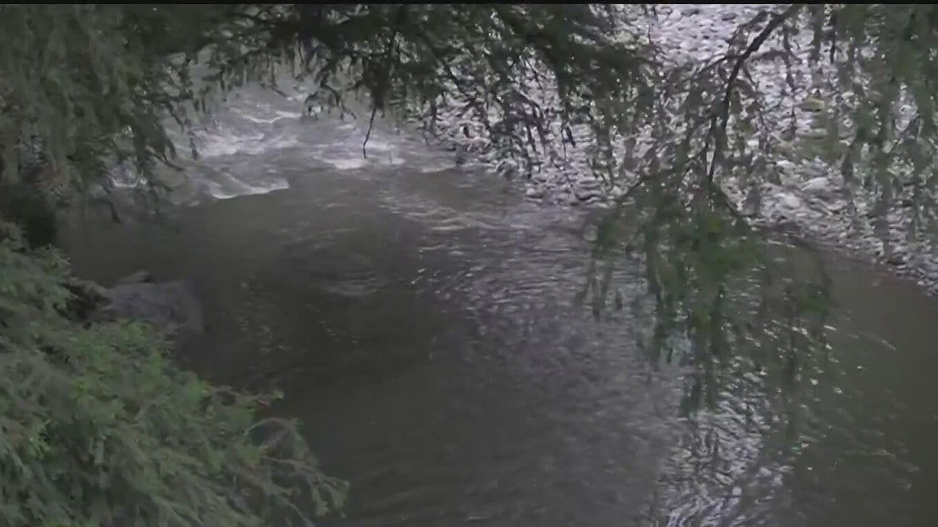 Buscan a Madre de Familia Arrastrada por la Corriente del Río La Silla en Guadalupe