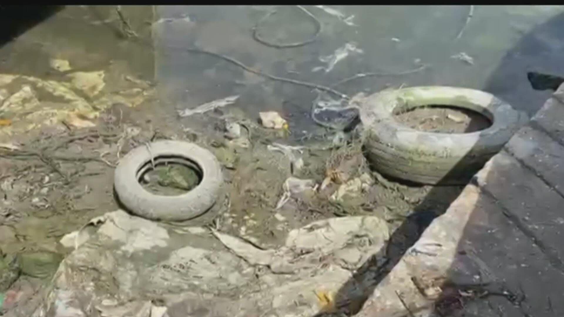 Investigadores Alertan de Contaminantes en Zonas Costeras de Campeche