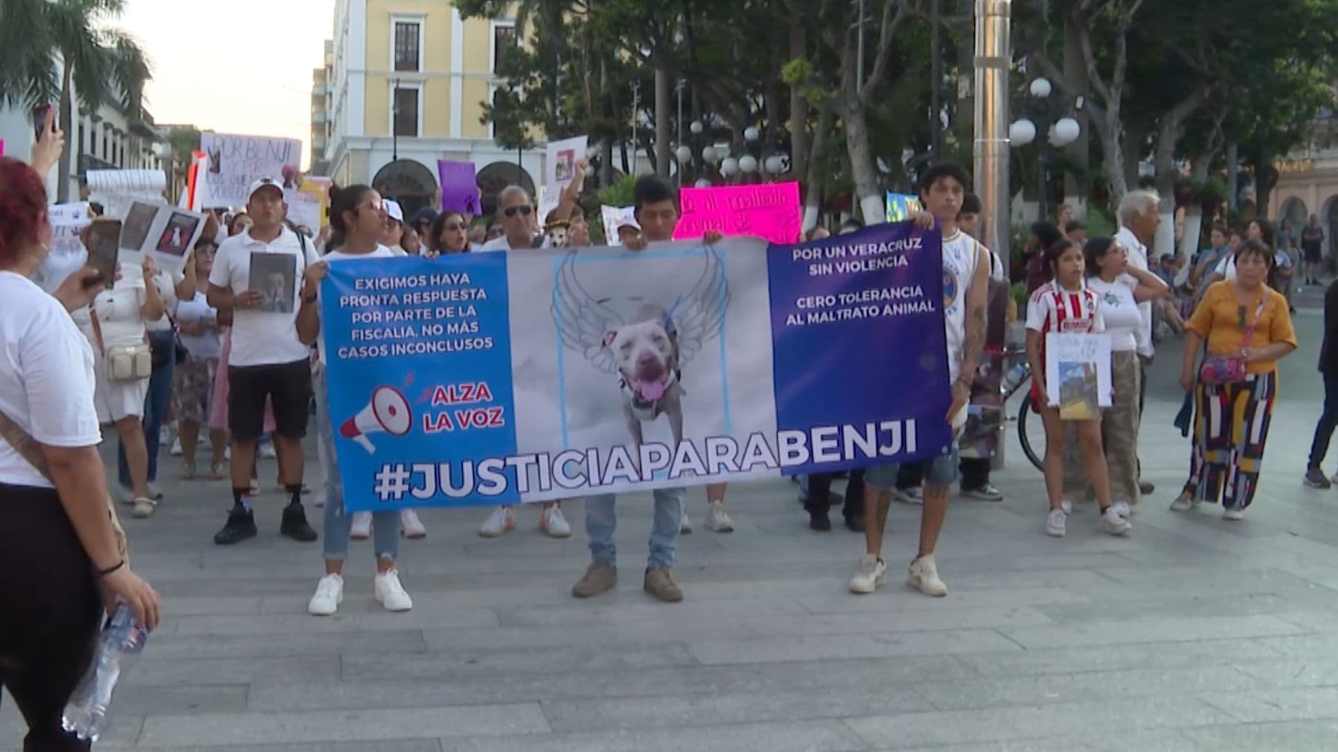 Marchan para Exigir Justicia para “Bengi”, Perro Pitbull Presuntamente Asesinado en Veracruz