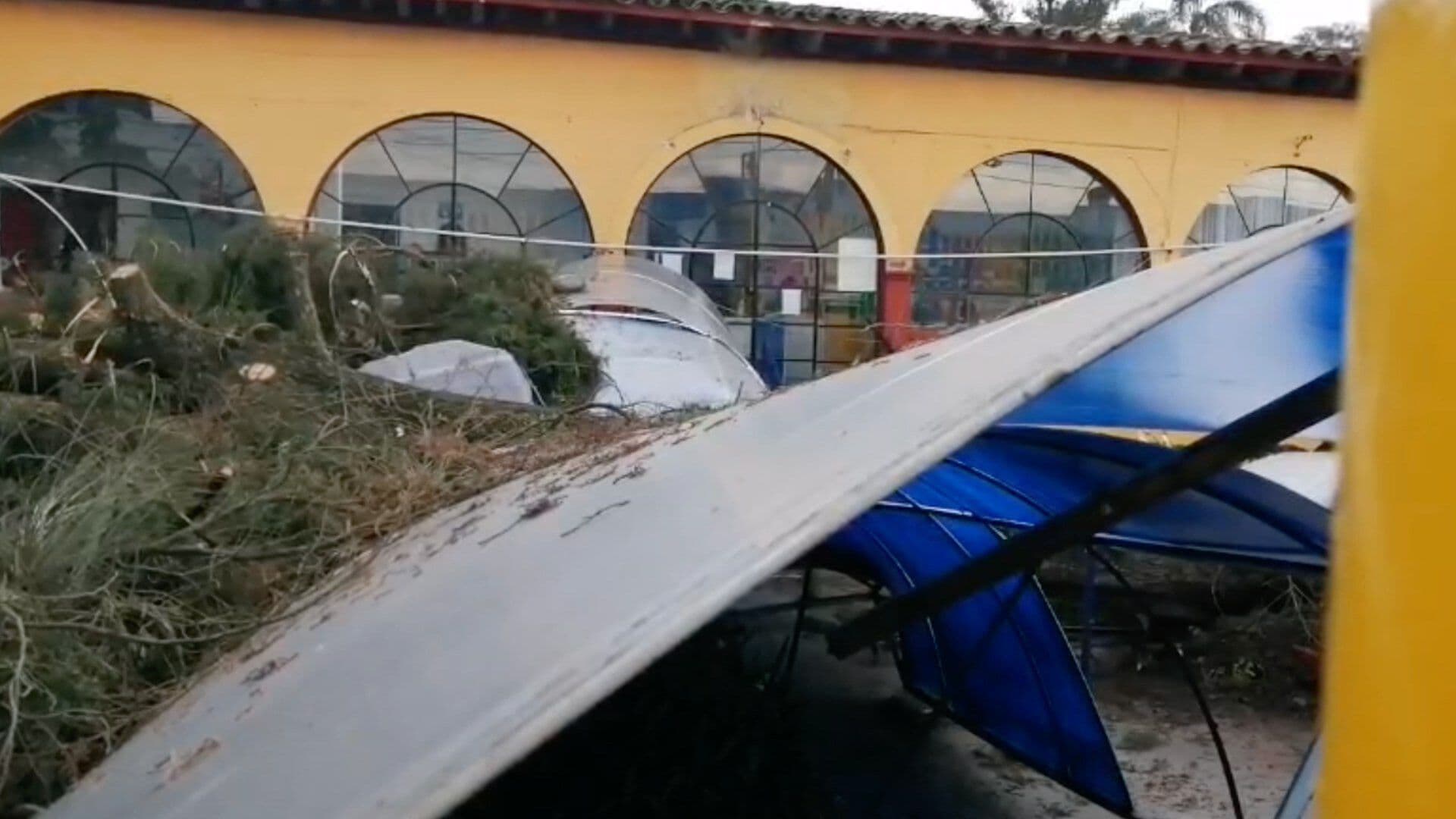 Fuerte Lluvia Causan Caída de Árbol en Jardín de Niños en Xalapa