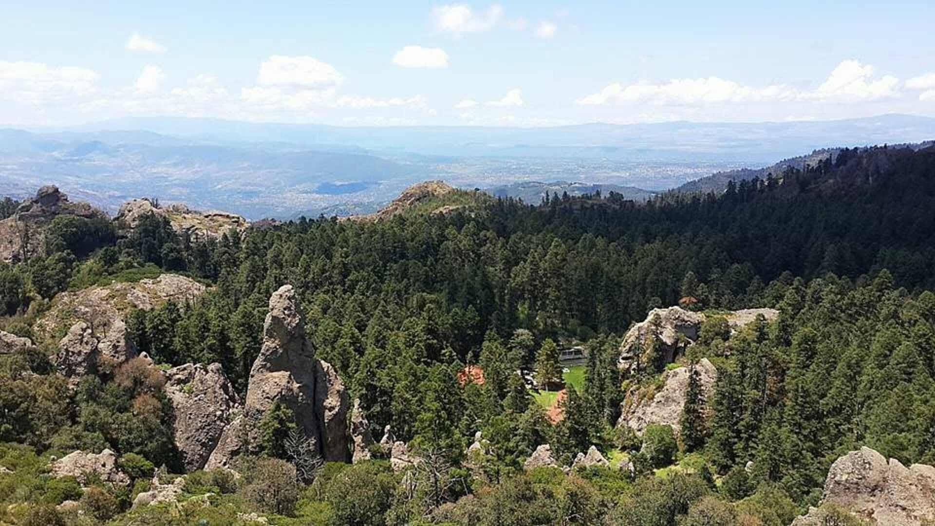 ¡El Bosque Más Mágico de Hidalgo! Conoce el Parque Nacional El Chico